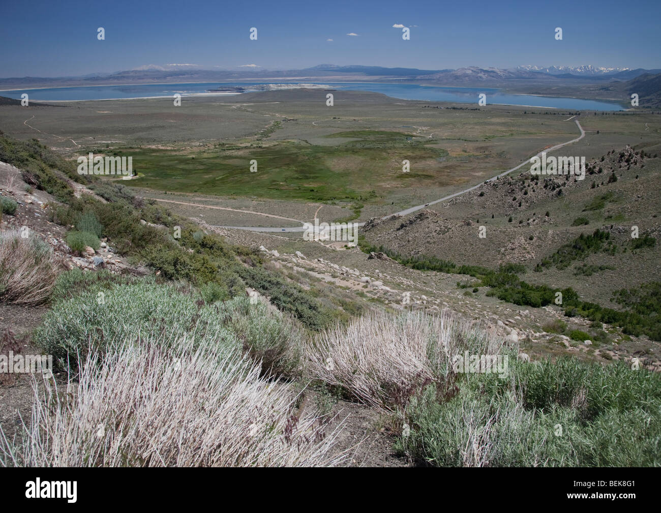 Près de lac Mono, Californie Banque D'Images