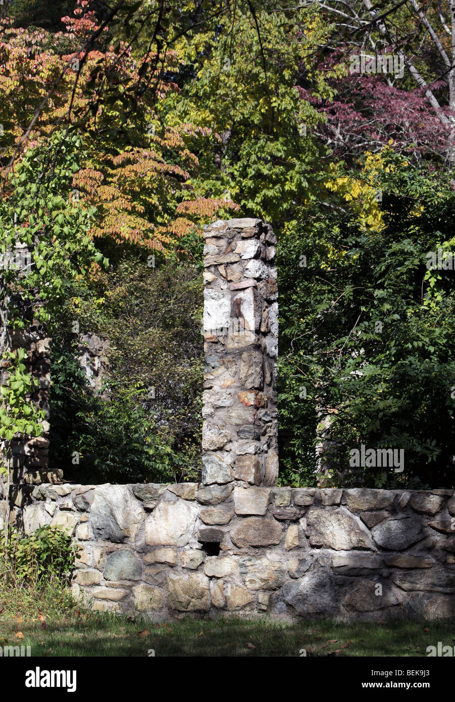 Vestiges de pierre des colonnes et un mur au bord de la forêt avec jardin creeping sur eux. Banque D'Images