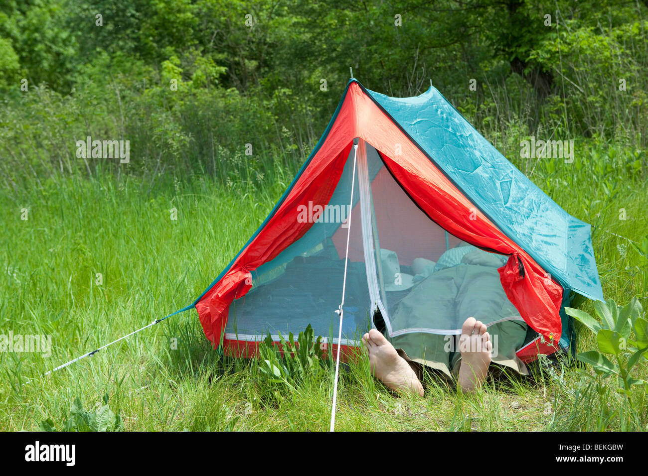 Le repos dans une tente sur l'herbe verte Banque D'Images