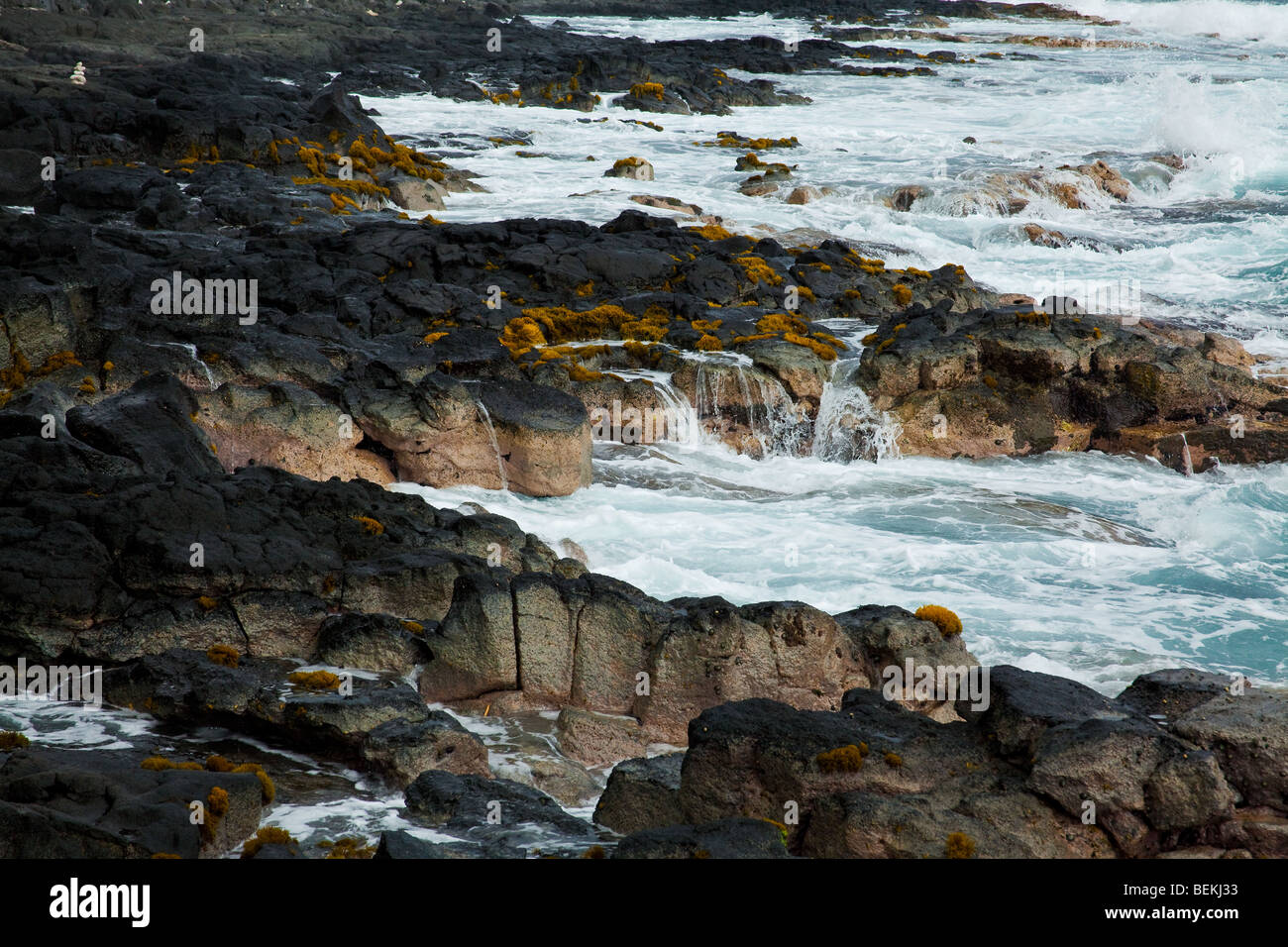 Vue côtière sur la grande île d'Hawaï avec des roches de lave Banque D'Images