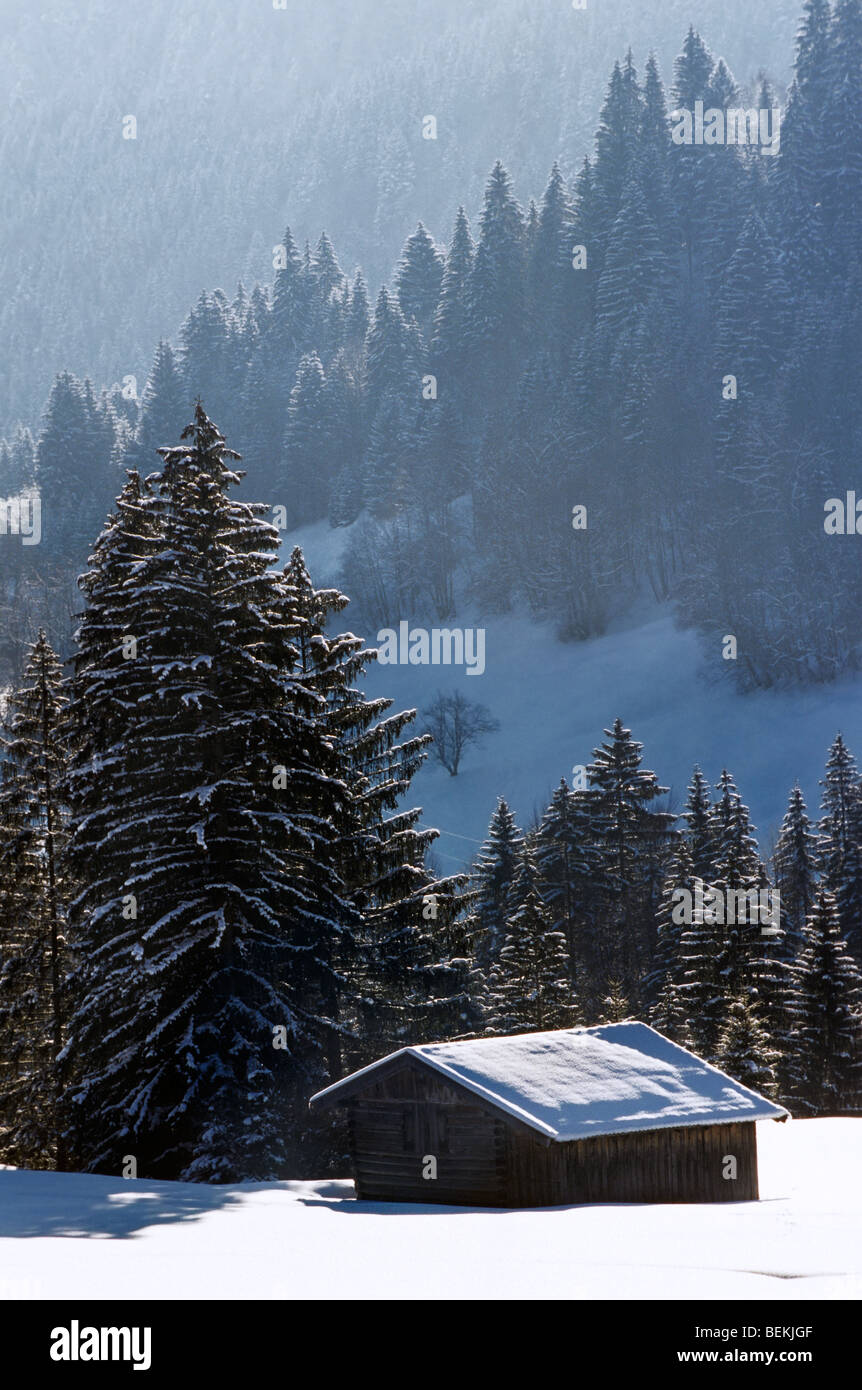 Chalet de montagne et forêt en hiver dans la neige, Chandolin, Suisse Banque D'Images