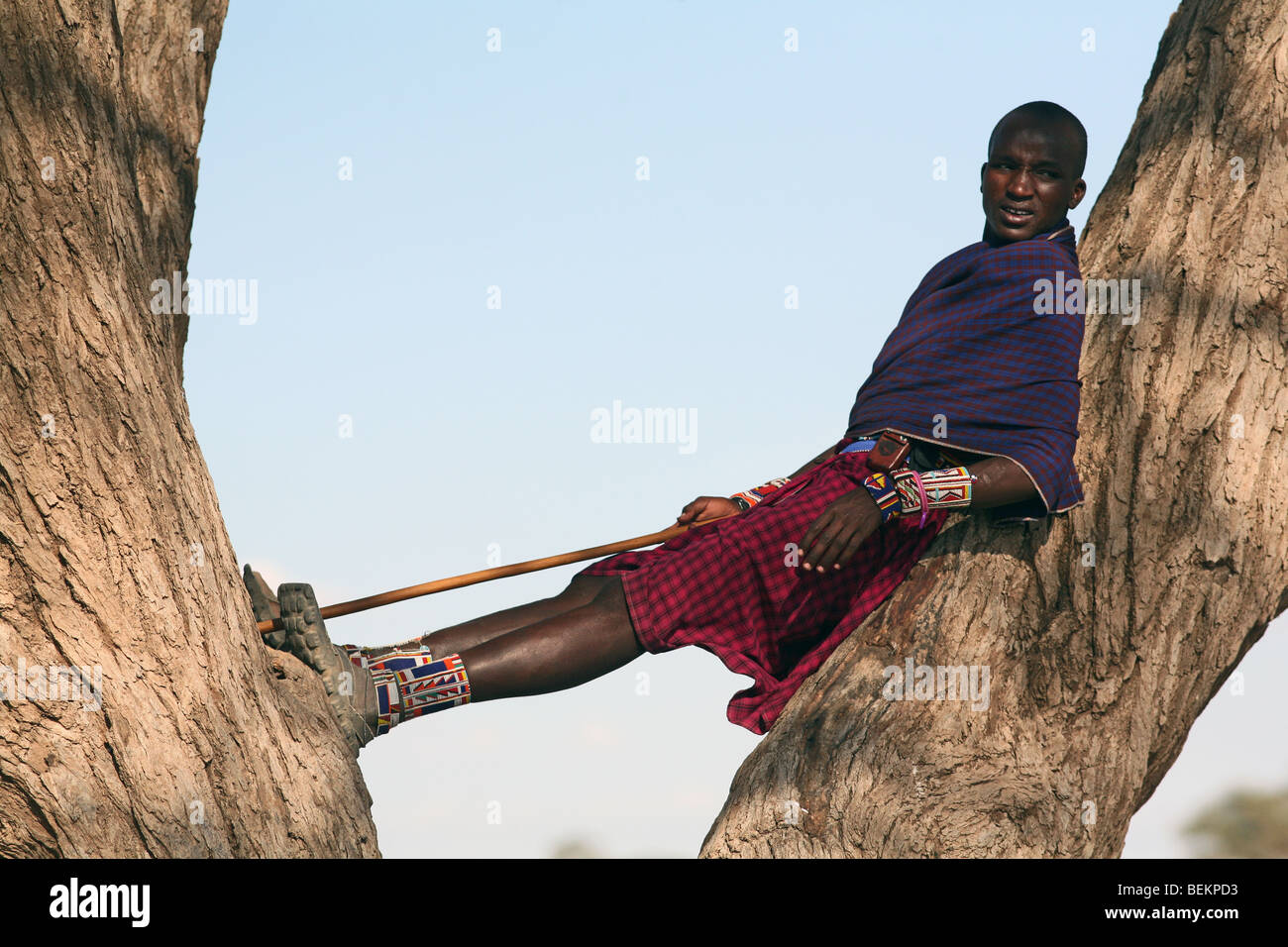 Homme Masai, Parc National d'Amboseli, Kenya, Afrique de l'Est. Banque D'Images