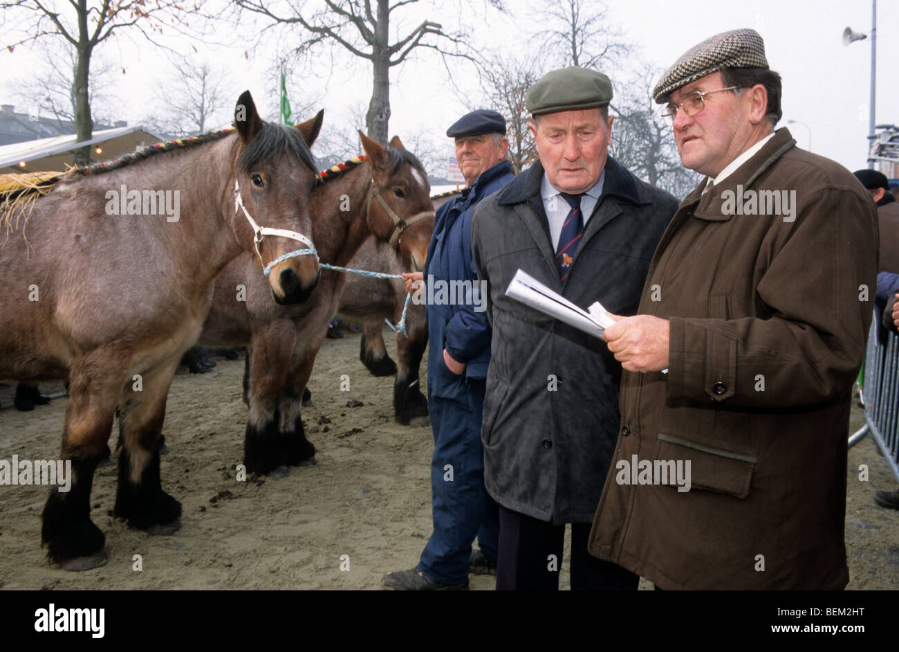 Les juges L'inspection des chevaux à horse show exhibition Banque D'Images