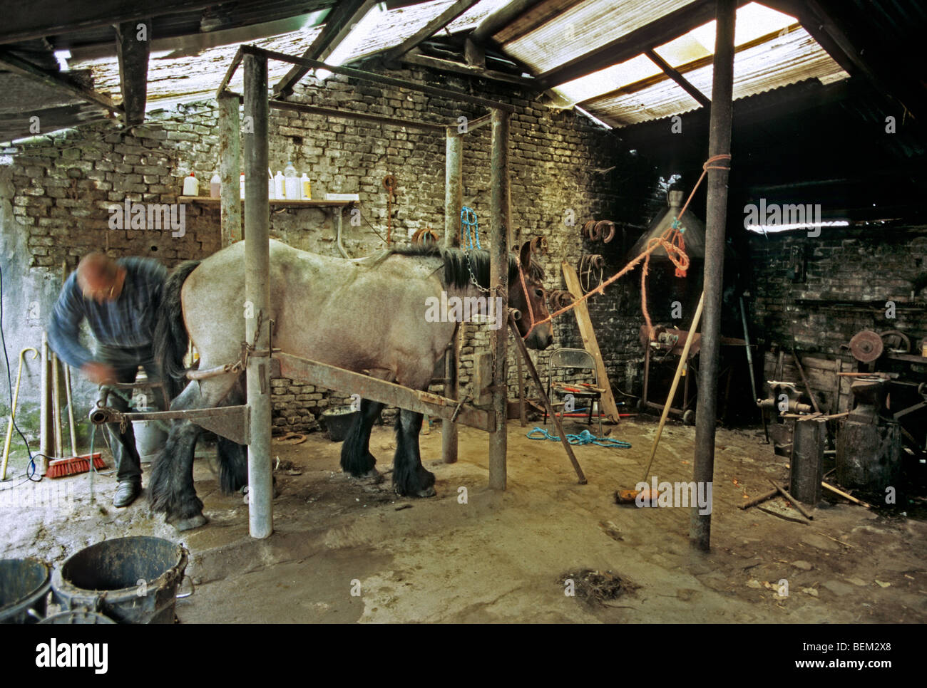 Fixation de forgeron à cheval sur chevaux de trait dans la forge Banque D'Images