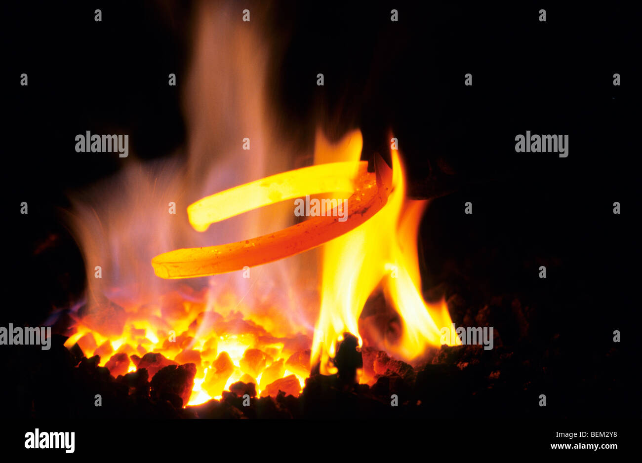 Fixation forgeron red-hot horseshoe pour chevaux de trait en le tenant au-dessus de white-hot live in forge charbon ardent Banque D'Images