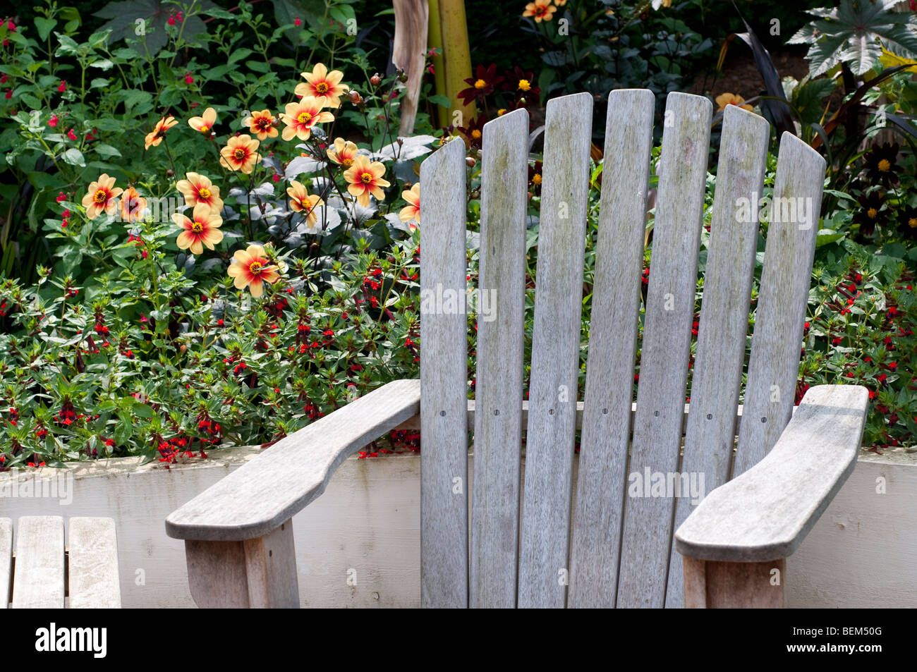 Chaise de jardin et dahlia MOONFIRE Banque D'Images