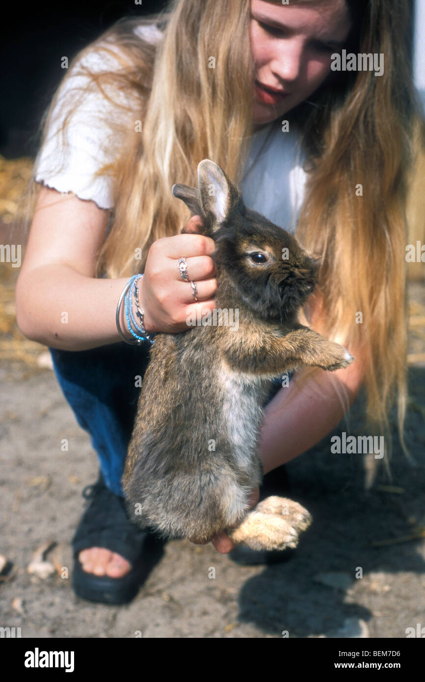 Bonne façon de tenir le lapin (Oryctolagus cuniculus) par enfant Banque D'Images