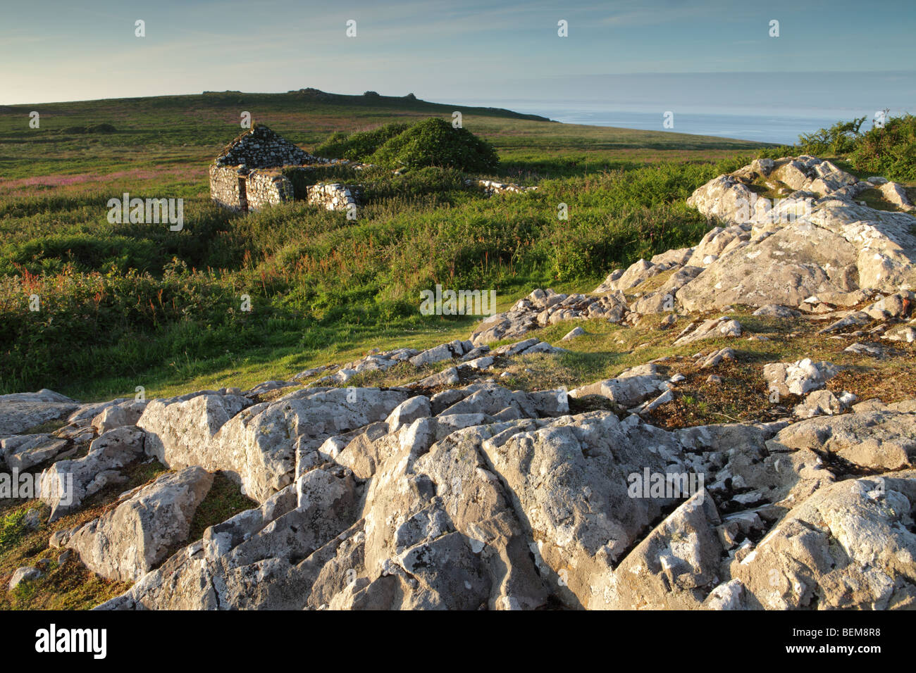 Sur l'île de Skomer ruine dans lumière du soir. Banque D'Images
