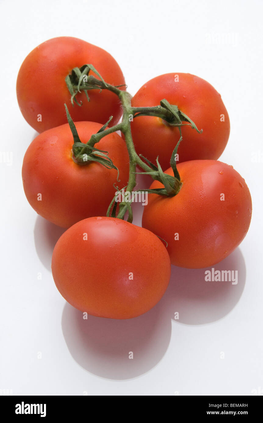 Des tomates biologiques sur fond blanc Banque D'Images