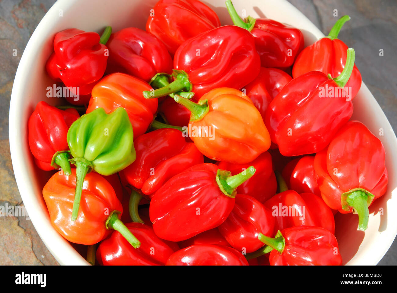 Un bol de piments habanero très chaude (Capsicum chinense). Banque D'Images