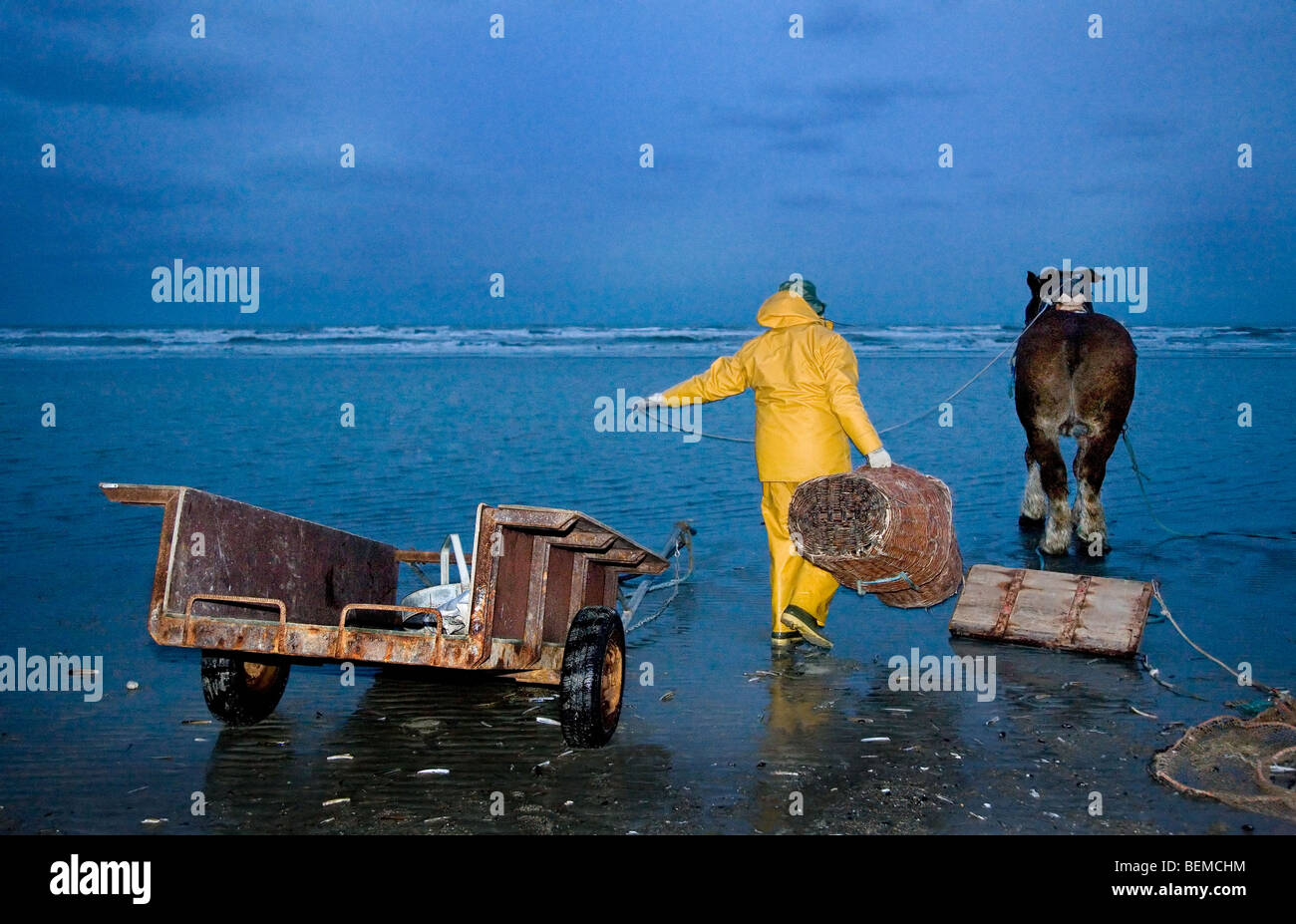 Shrimper et projet de cheval (Equus caballus) avec la pêche des crevettes filet le long de la côte de la mer du Nord, Oostduinkerke, Belgique Banque D'Images