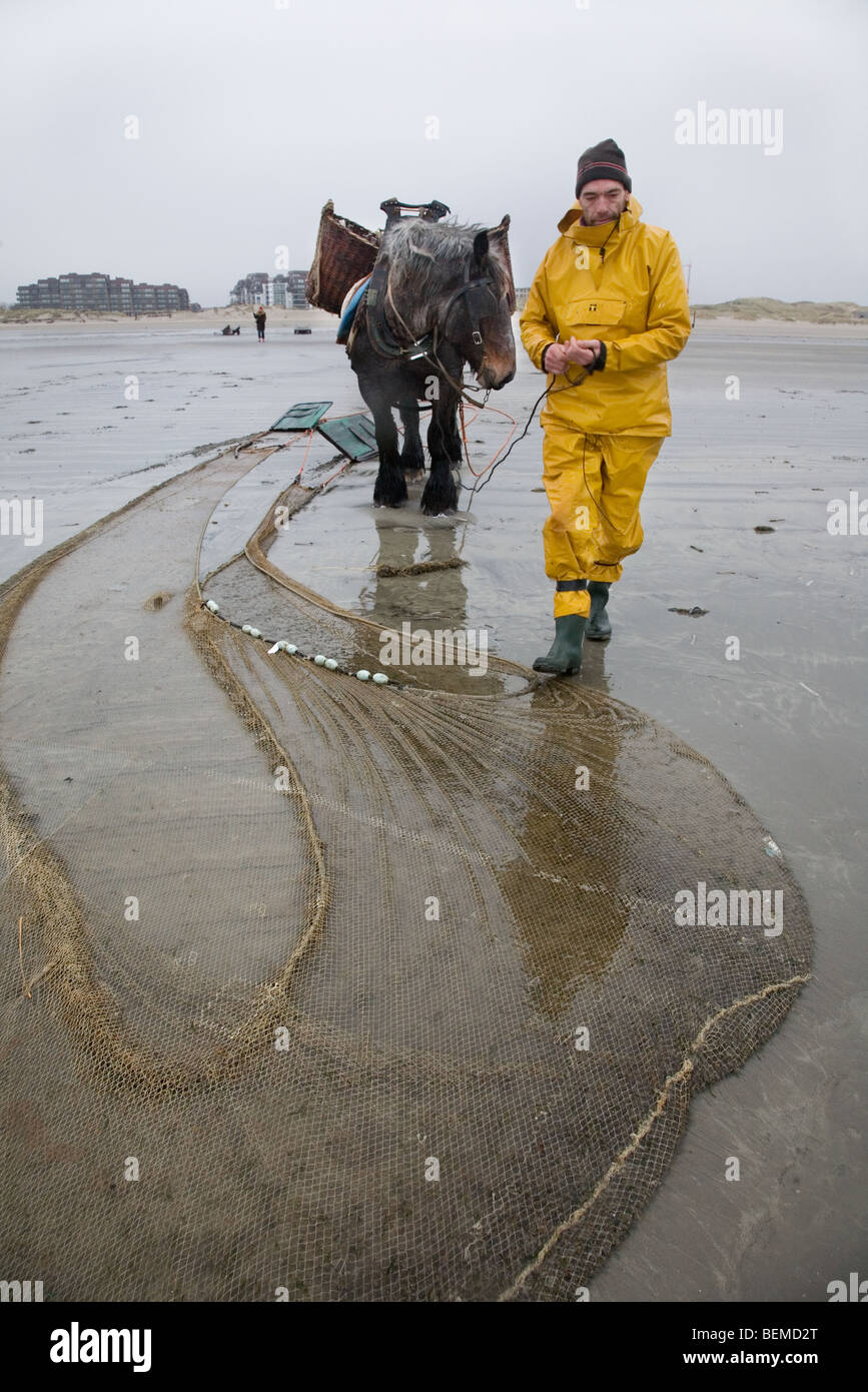 Shrimper et projet de cheval (Equus caballus) avec la pêche des crevettes filet le long de la côte de la mer du Nord, Oostduinkerke, Belgique Banque D'Images