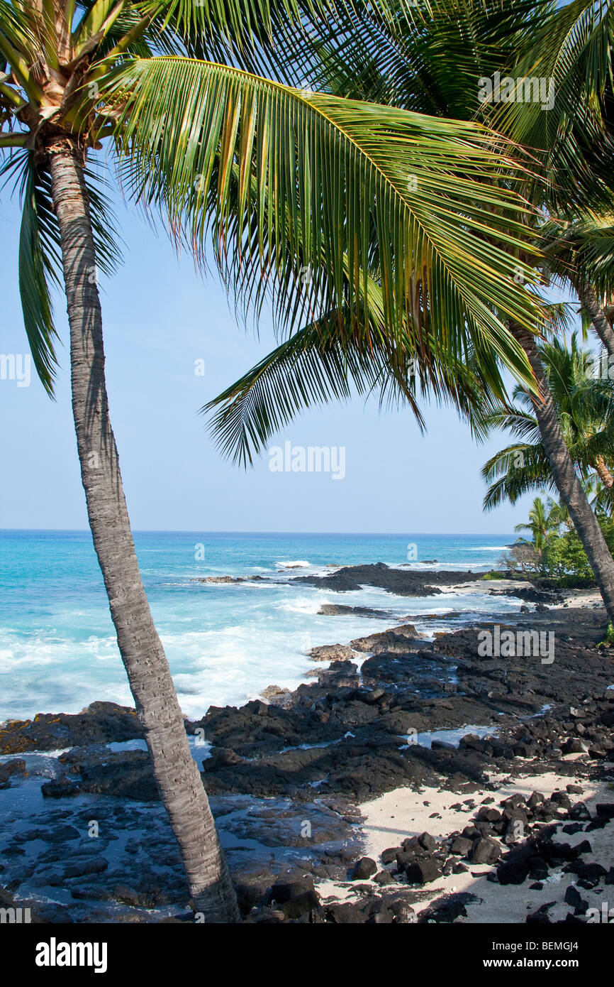 Vue côtière sur la grande île d'Hawaï avec des roches de lave Banque D'Images