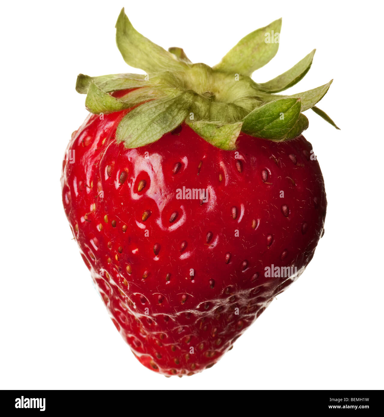 Des fraises fraîches isolées sur fond blanc Banque D'Images