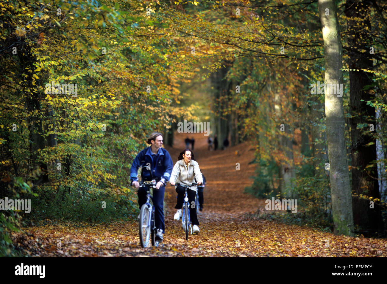 Randonnée à vélo en forêt d'automne, Meerdaalwoud, Belgique Banque D'Images