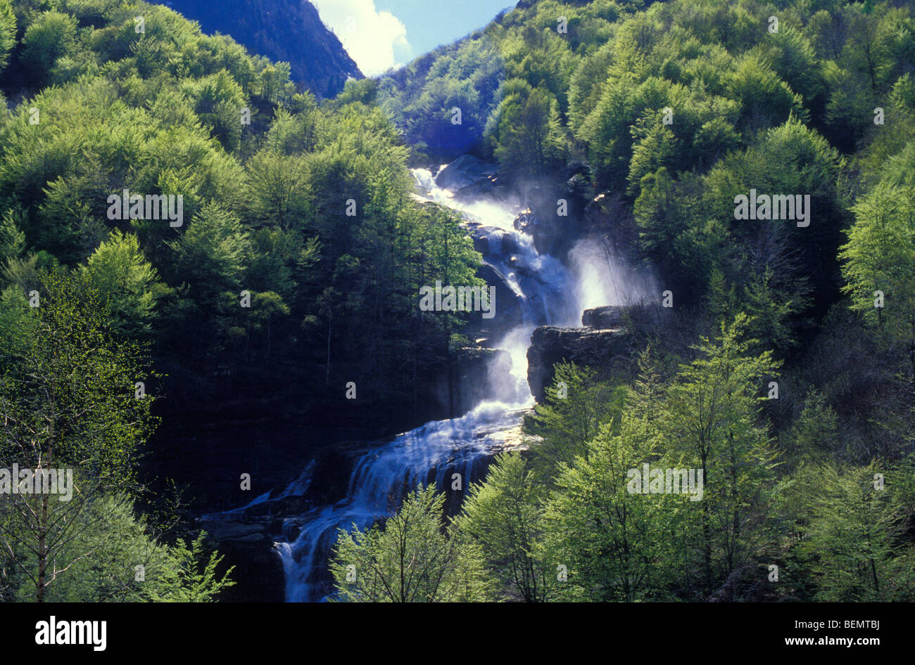 Cascade dans la vallée de Verzasca, Tessin, Suisse Banque D'Images
