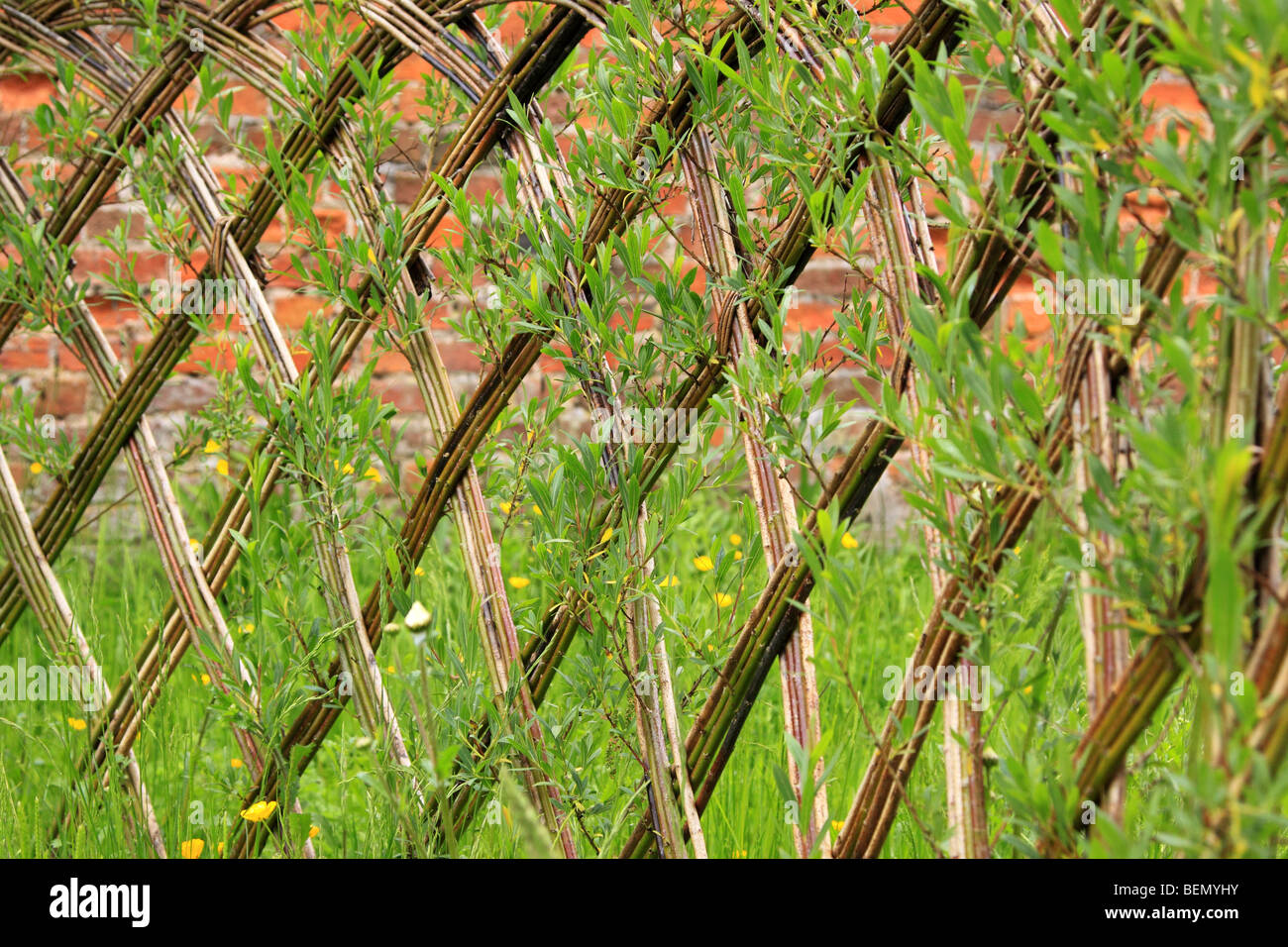 Willow tissé écran barrière, England UK Banque D'Images