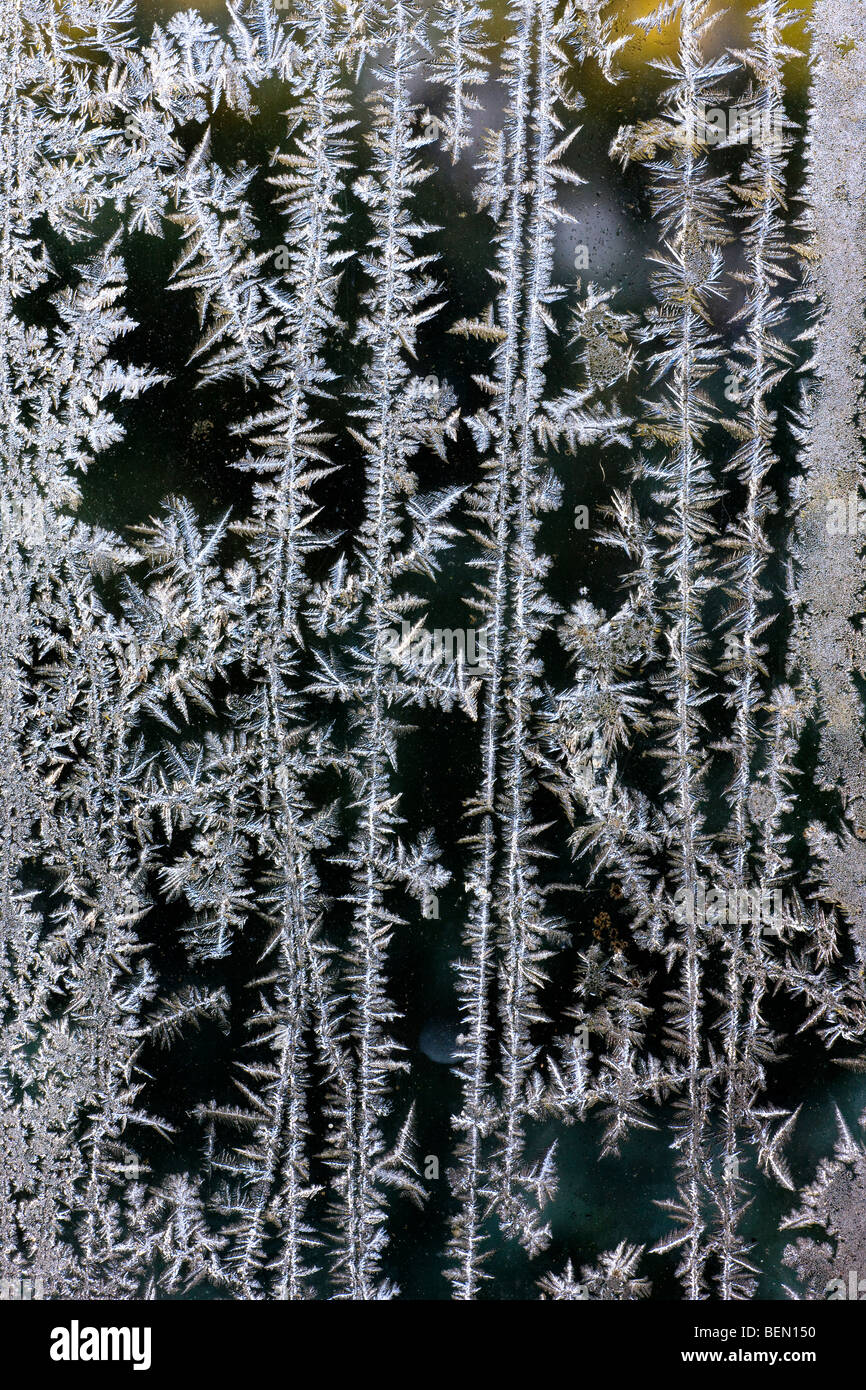 Cristaux de glace / frost fleurs formant sur la fenêtre pendant le givre en hiver froid Banque D'Images