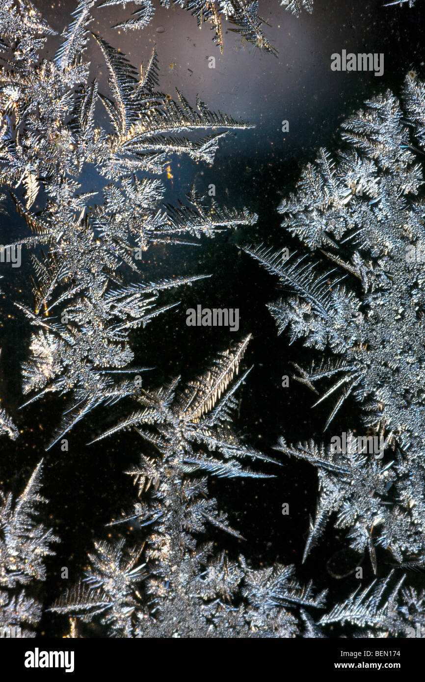 Cristaux de glace / frost fleurs formant sur la fenêtre pendant le givre en hiver froid Banque D'Images