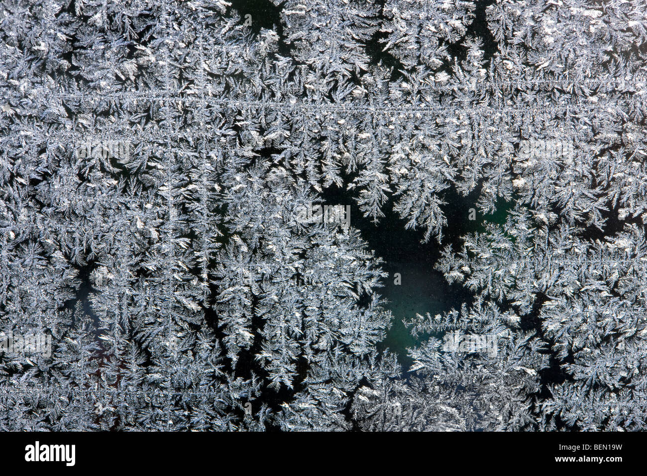 Cristaux de glace / frost fleurs formant sur la fenêtre pendant le givre en hiver froid Banque D'Images