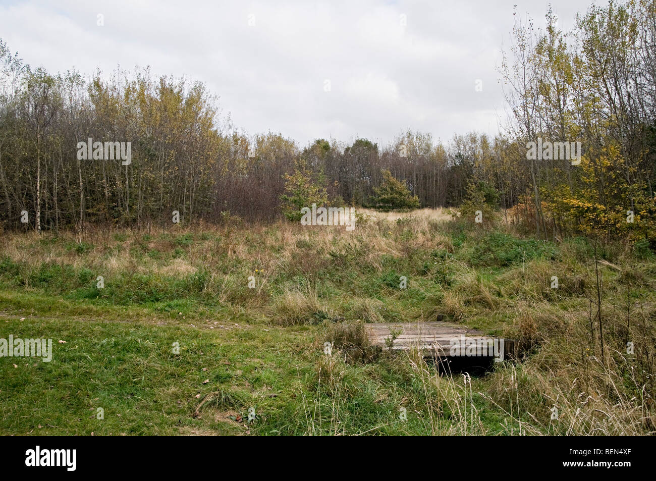 Parc Urbain Sheepwash partie de Black Country forêt urbaine d'arbres et de prairies Banque D'Images