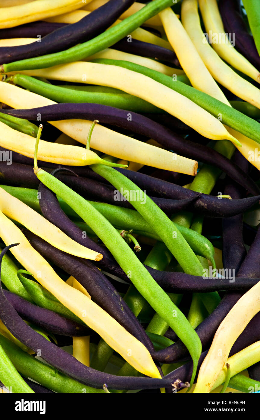 Pile de violet et jaune haricots verts Banque D'Images