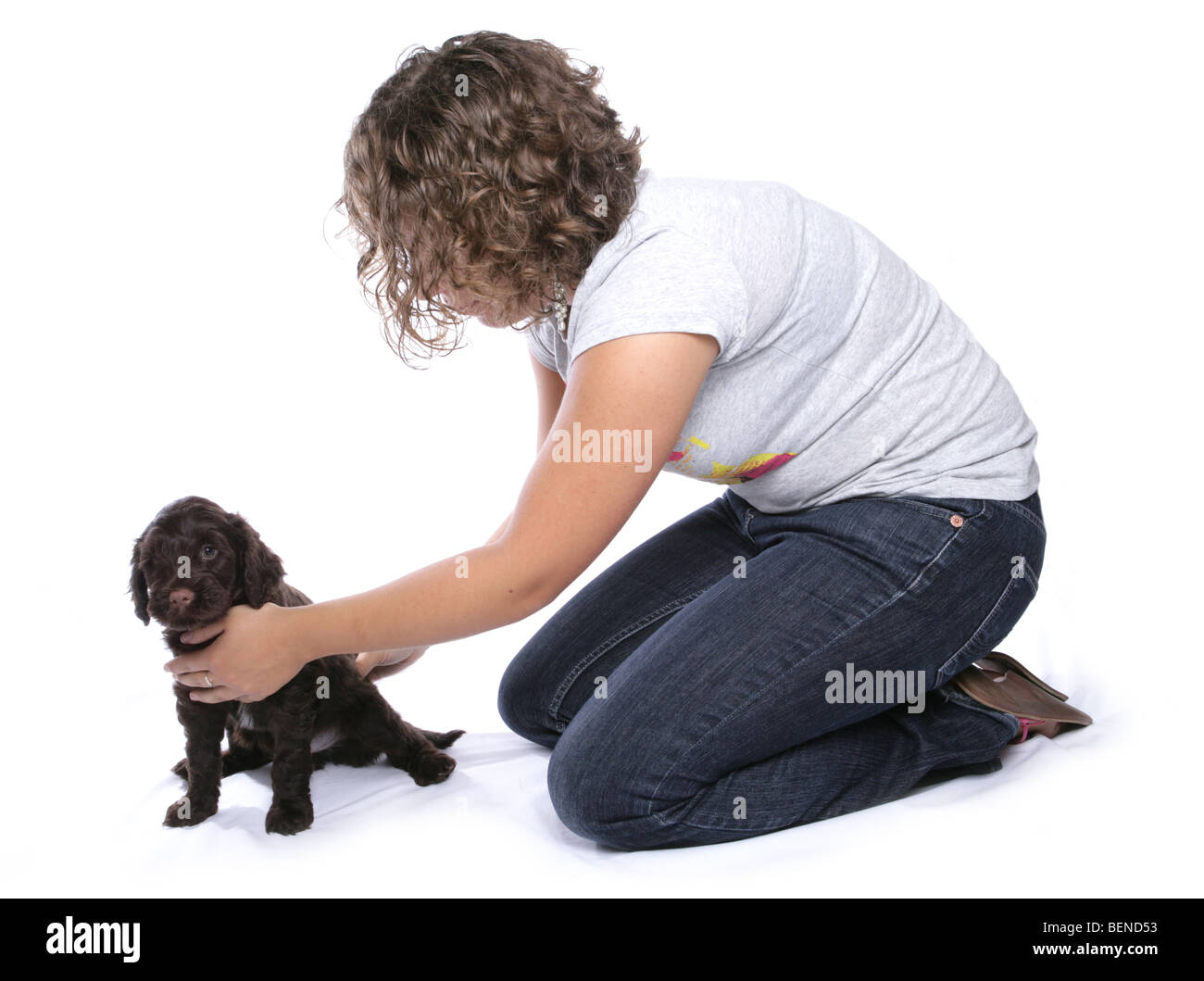 Chiot Chien d'eau portugais est enseigné à l'asseoir studio portrait Banque D'Images