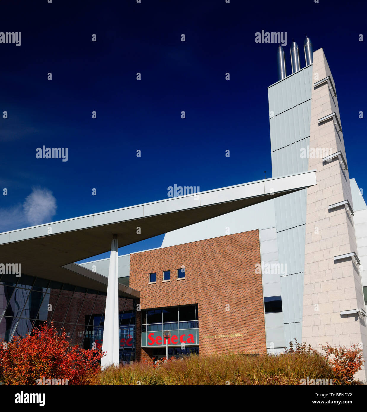 L'architecture moderne du collège Seneca, York University Stephen quinlan e bâtiment avec ciel bleu en automne Banque D'Images