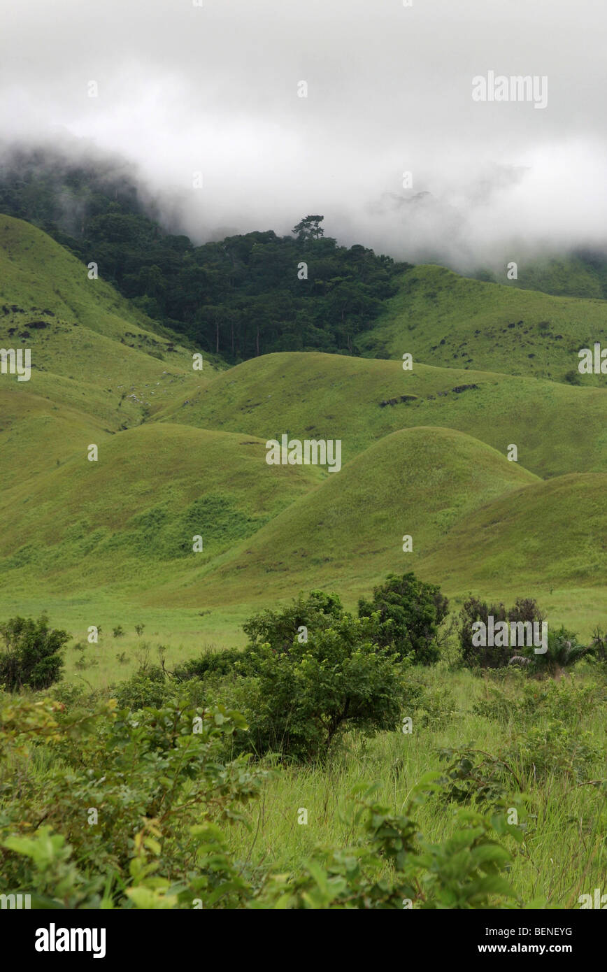 Le parc fait par la déforestation dans les collines, Congo, Afrique Centrale Banque D'Images