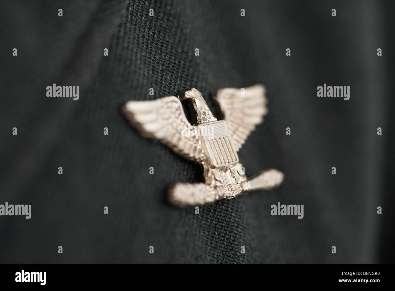 Insigne militaire Colonel, eagle broche Photo Stock - Alamy