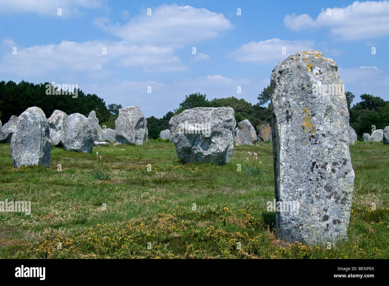 Comité permanent des pierres dans l'alignement de Kermario à Carnac, Morbihan, Bretagne, France Banque D'Images