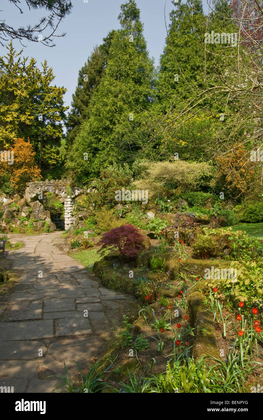 Moss tulipes fougères conifères en pierre de l'épimède acer [Newby Hall] [Ripon Yorkshire du Nord] Banque D'Images