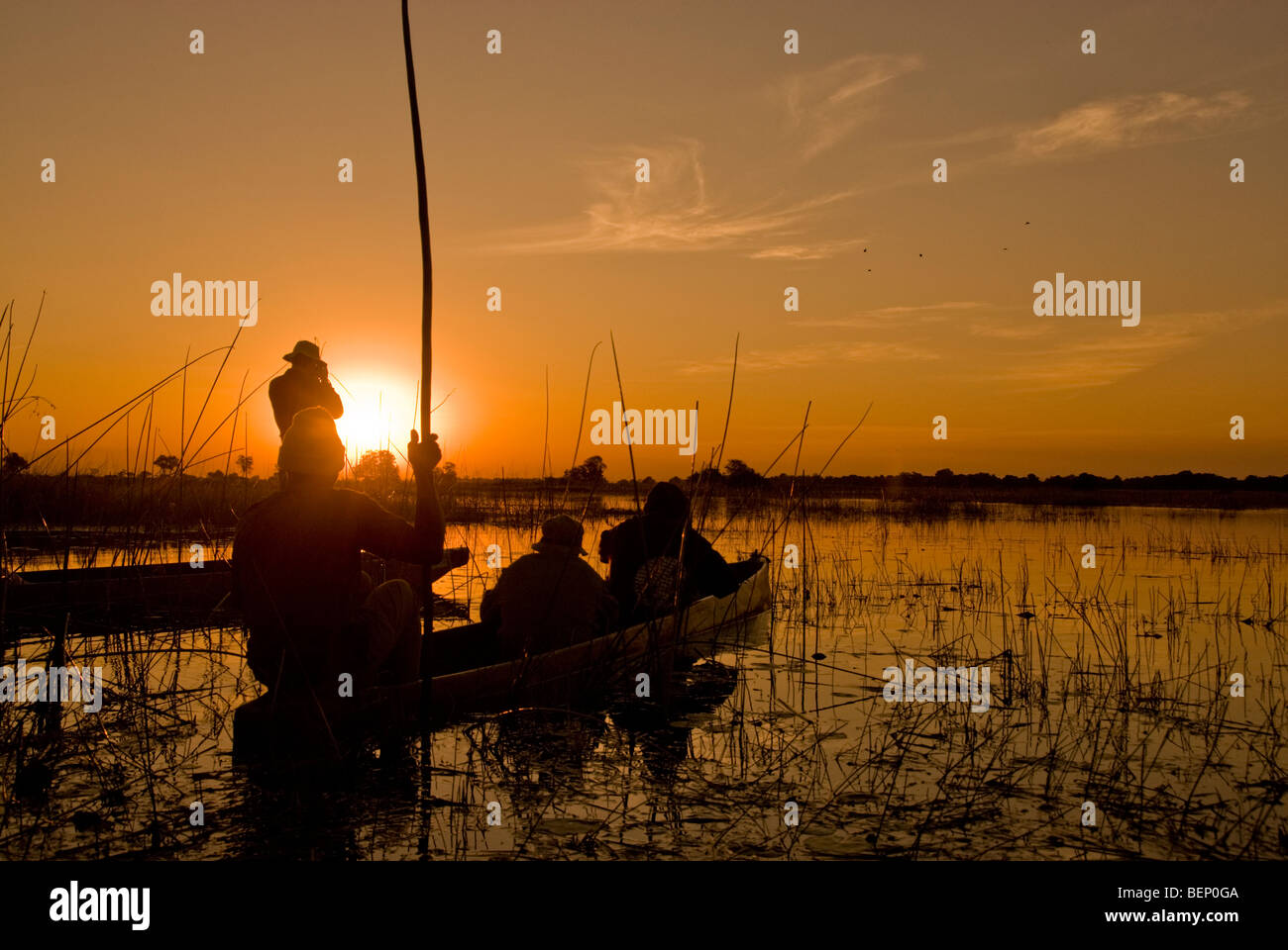 Les gens qui suivent le coucher du soleil sur un bateau mokoro dans le delta de l'Okavango, au Botswana, l'Afrique. Banque D'Images