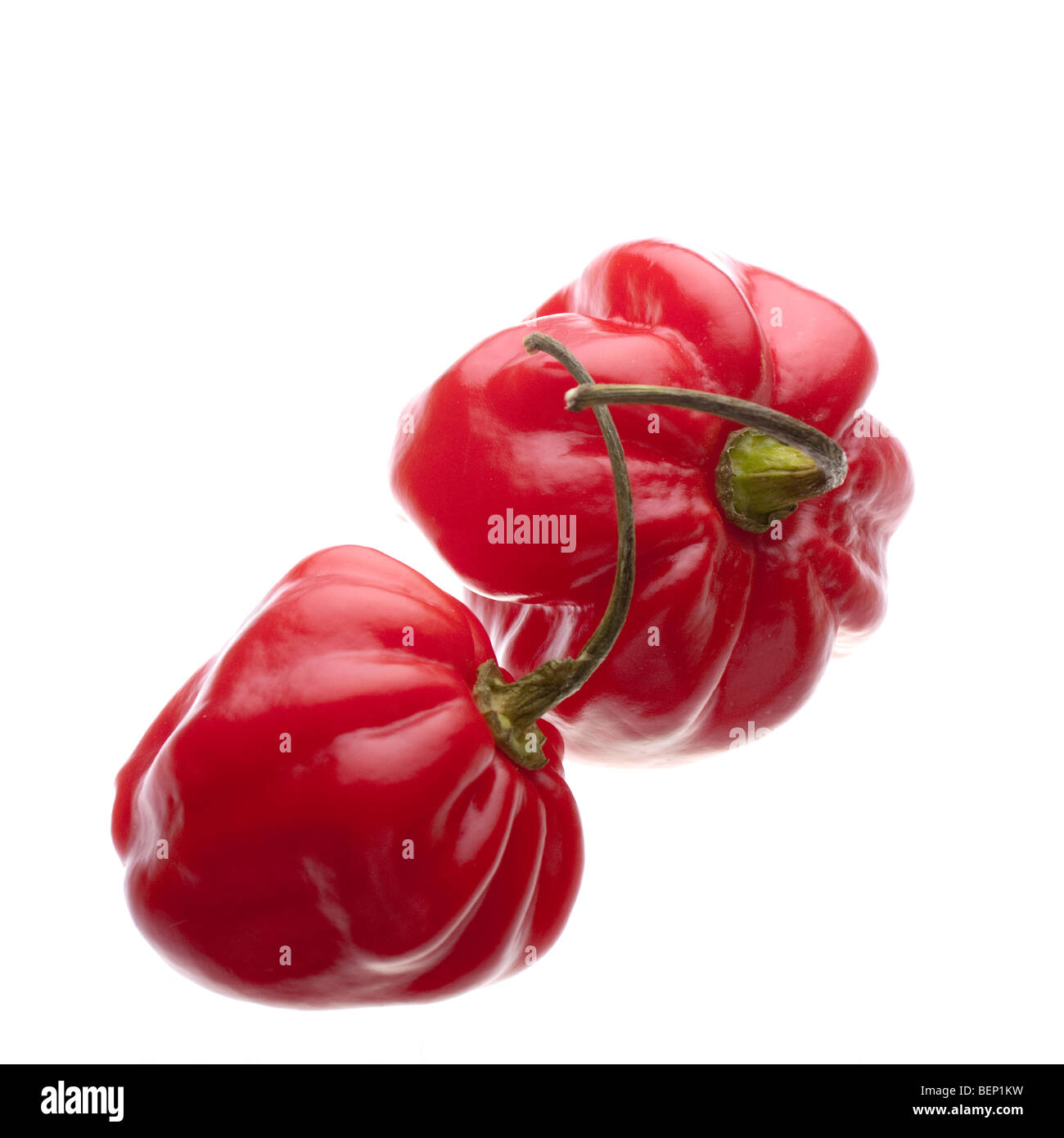 Une paire de piments scotch bonnet rouge. Isolés contre fond blanc y compris chemin de détourage. Banque D'Images