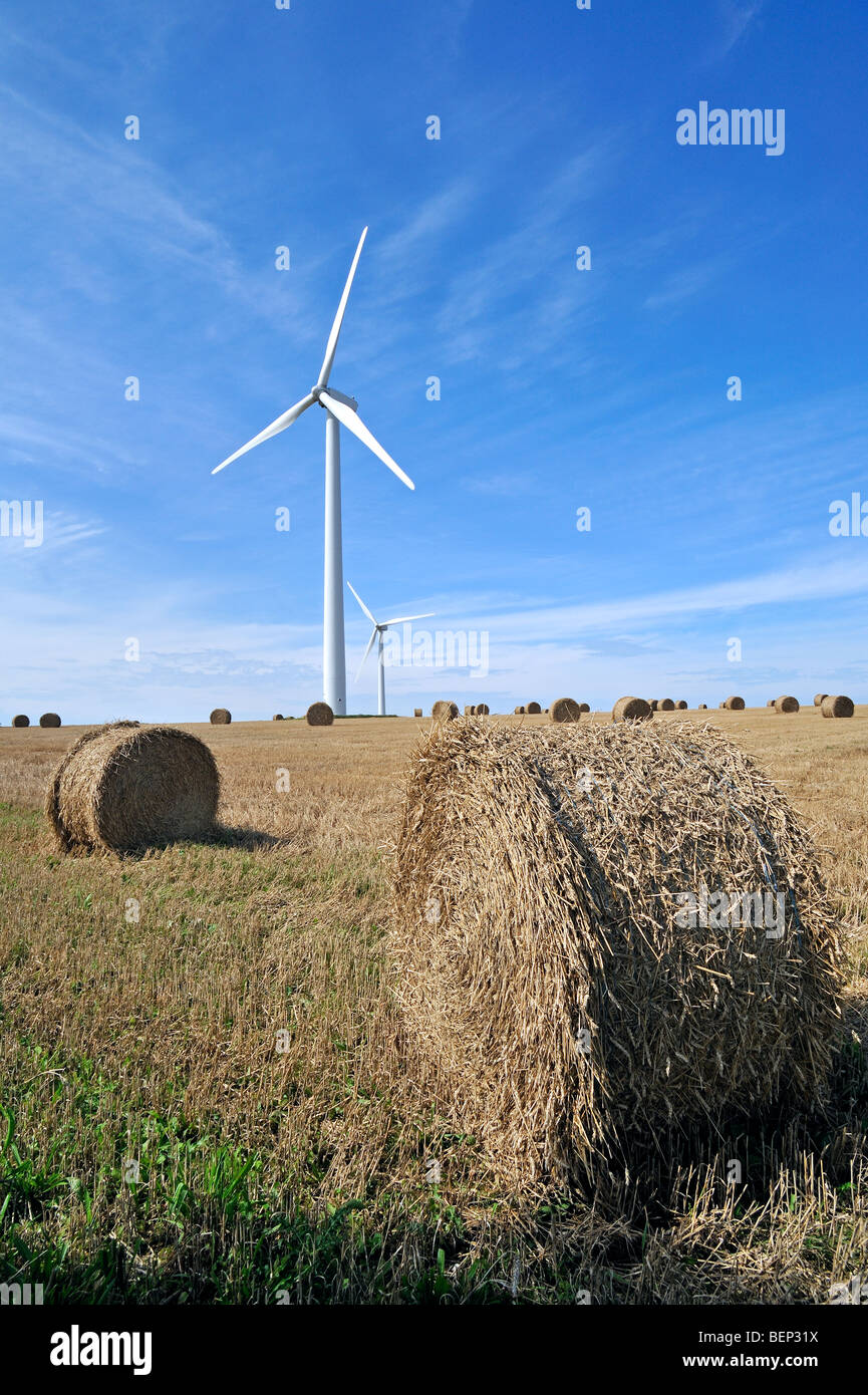 Éoliennes dans le champ fauché avec hay bales Banque D'Images