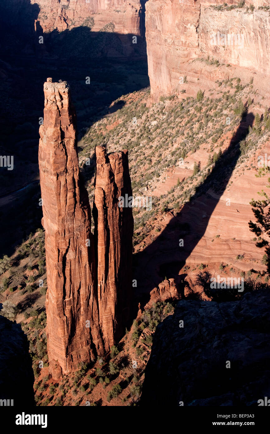 Rock Spider est dans la Nation Navajo parc appelé 'Thunderbird'. Il est situé dans le nord de l'Arizona aux États-Unis. Un site à voir. Banque D'Images