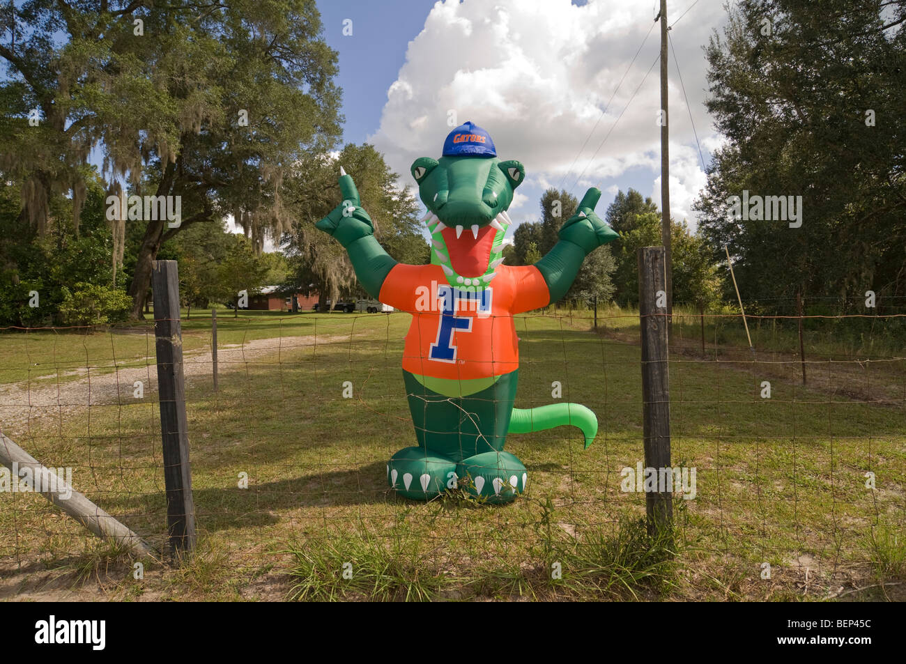 Alligator gonflable mascotte des Gators de l'Université de Floride Banque D'Images