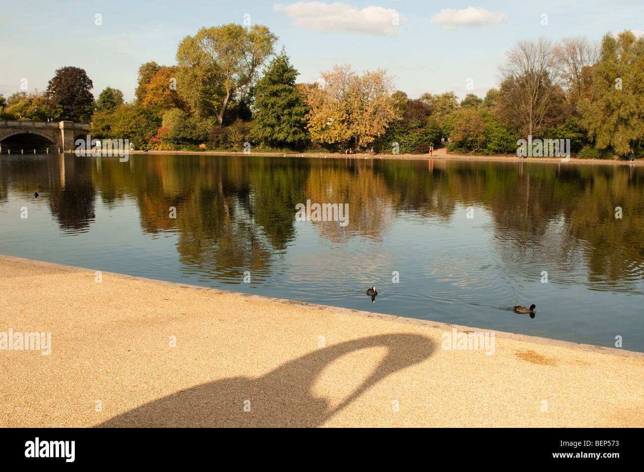 Serpentine Lake et l'ombre de la sculpture d'Isis à Hyde Park, Londres, Westminster, SW1, UK Banque D'Images