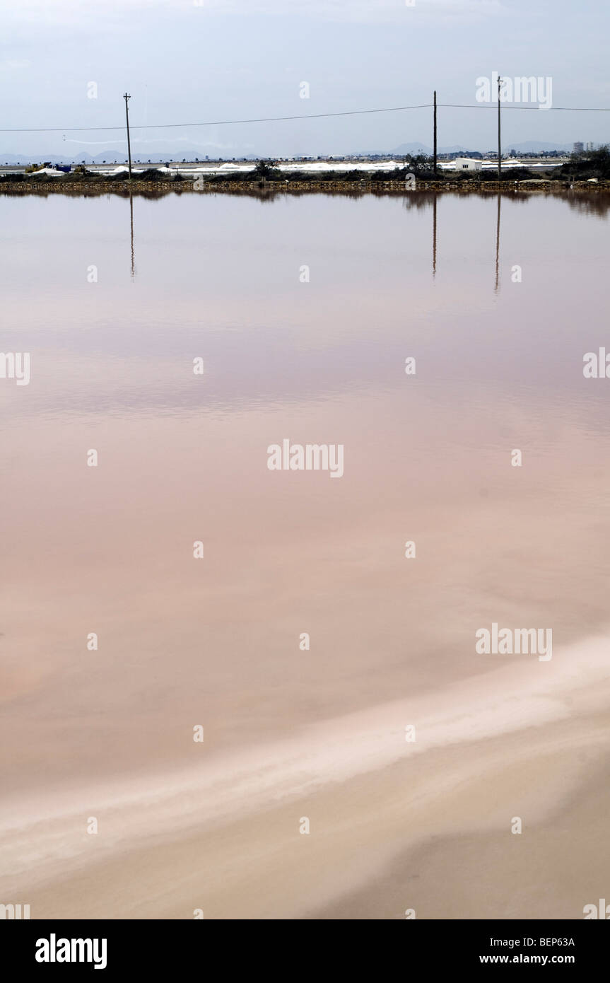 Le Salinas de San Pedro del Pinatar (Parque Regional de Salinas y Arenales de San Pedro) est maintenant un parc naturel protégé, Espagne Banque D'Images