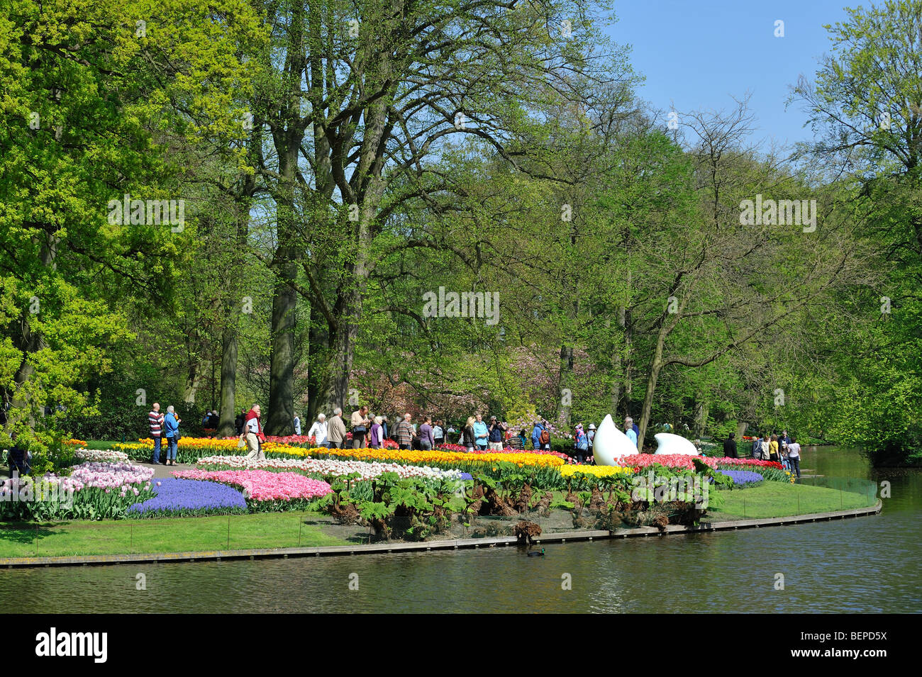 Les touristes marche chez les tulipes colorées, jacinthes et jonquilles en fleurs jardin de Keukenhof, lisse, la Hollande, les Pays-Bas Banque D'Images