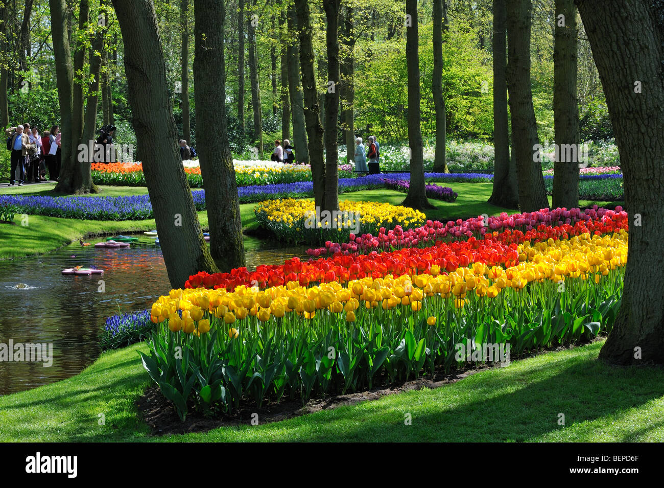 Les touristes marche chez les tulipes colorées, jacinthes et jonquilles en fleurs jardin de Keukenhof, lisse, la Hollande, les Pays-Bas Banque D'Images