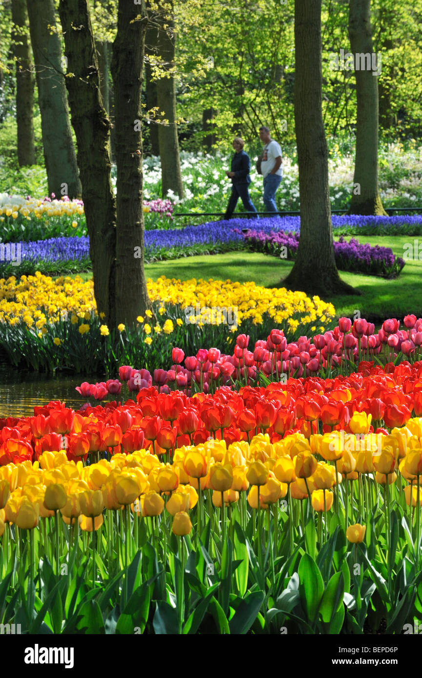 Les touristes marche chez les tulipes colorées, jacinthes et jonquilles en fleurs jardin de Keukenhof, les Pays-Bas Banque D'Images