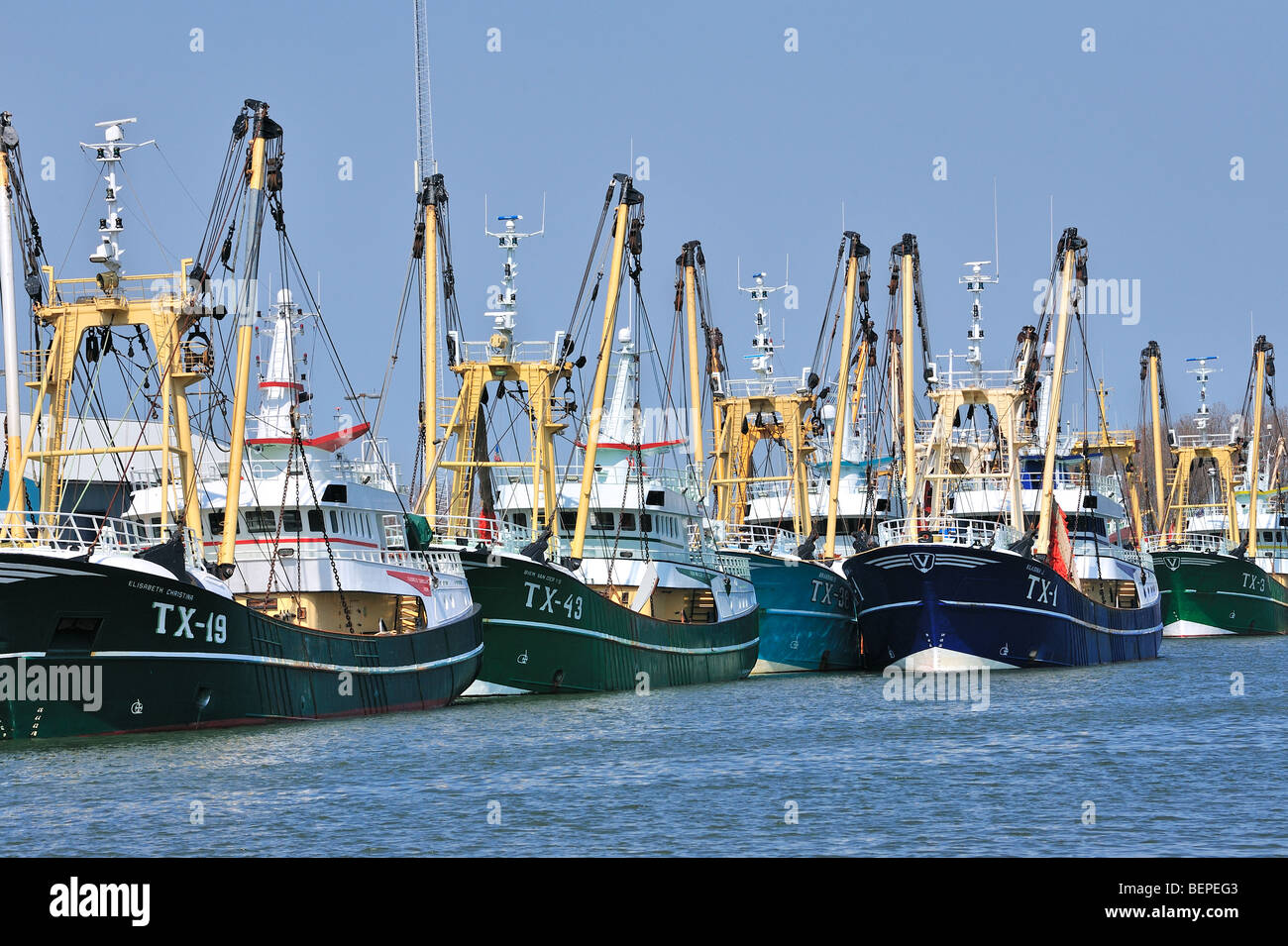 Trawler bateaux de pêche dans le port de Oudeschild, Texel, Pays-Bas Banque D'Images