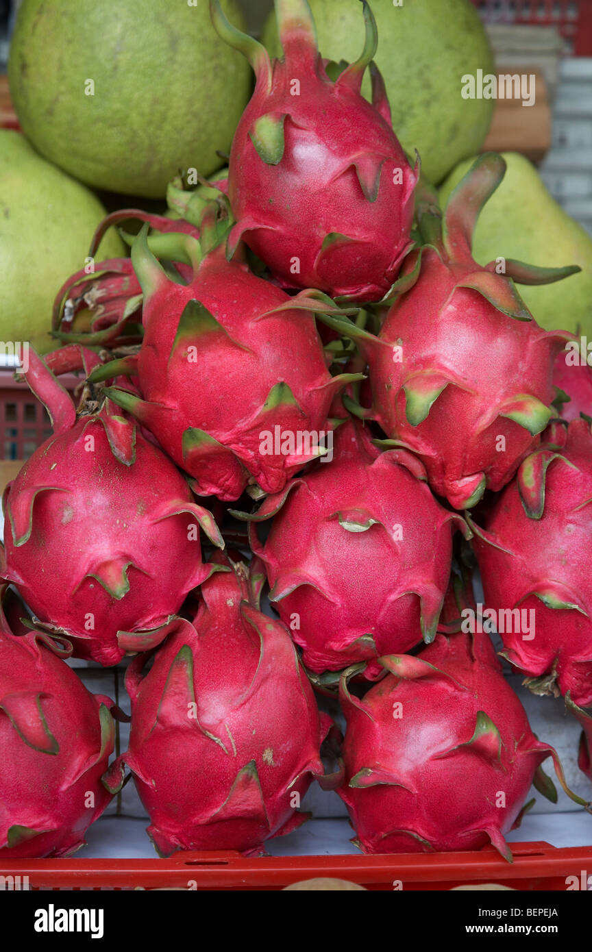 VIETNAM Saigon marché de fruit. Fruit du dragon d'autres noms : Fraise Poire, Nom botanique : Pitaya Hylocereus undatus. Banque D'Images