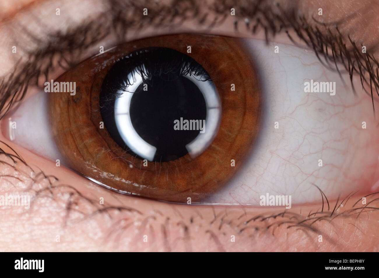 Close-up of a child's eye, Séville, Andalousie, Espagne Banque D'Images