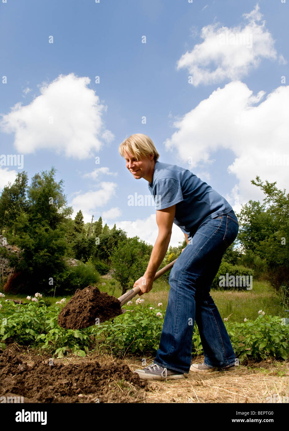 Homme creuser dans le jardin Banque D'Images