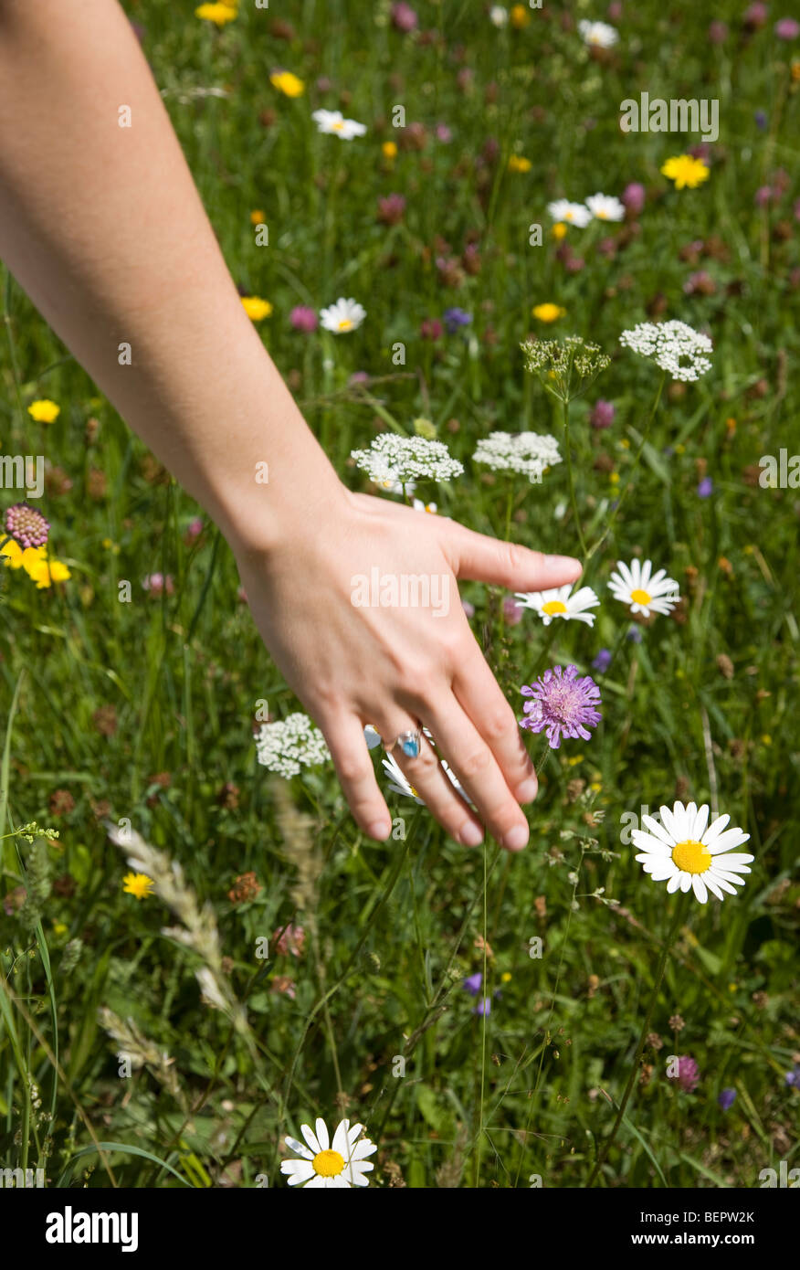 Femme en marche main dans l'herbe Banque D'Images