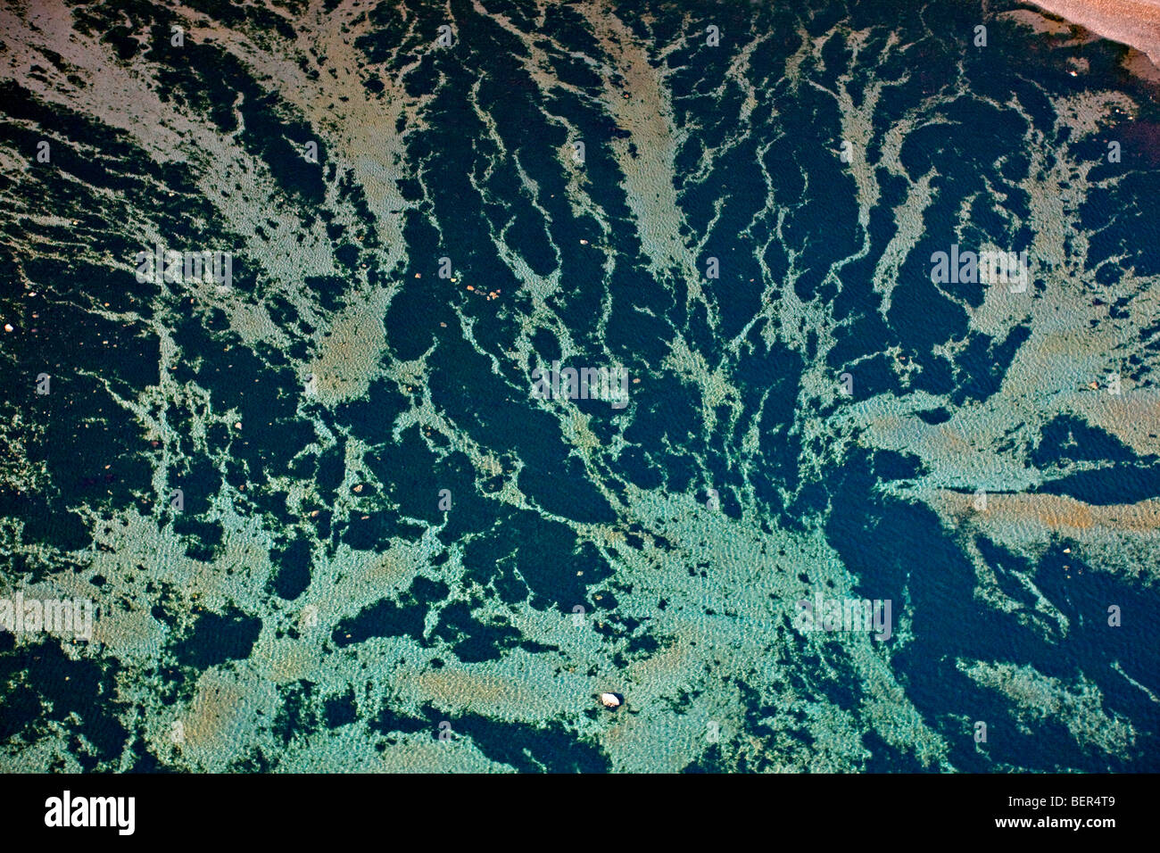 Vue aérienne de motifs abstraits dans l'océan Pacifique au large de l'île Malcolm dans le détroit Broughton, British Columbia, Canada. Banque D'Images