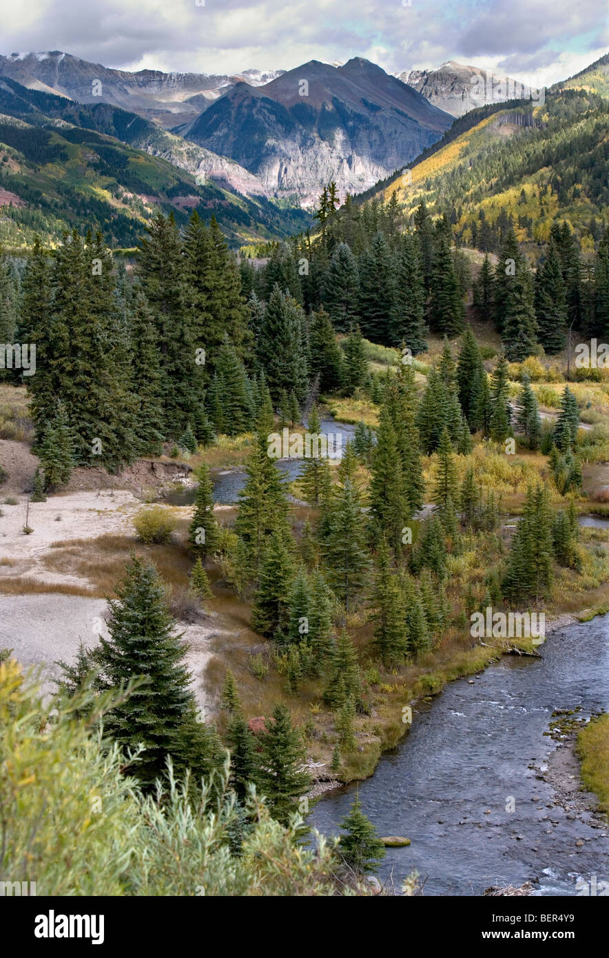 Montagnes, pins, d'un ruisseau, et trembles près de Telluride, Colorado. Banque D'Images