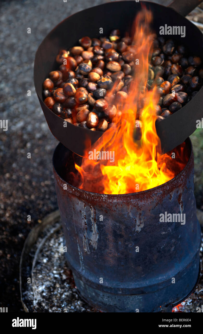 Châtaignes fraîches biologiques rôties en cours (Castanea sativa) Banque D'Images